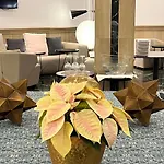 Olid Hotel