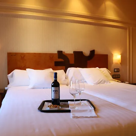 Hotel Olid 4*